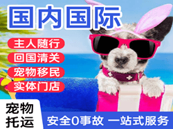 合肥新桥航空快运国际宠物托运 【国